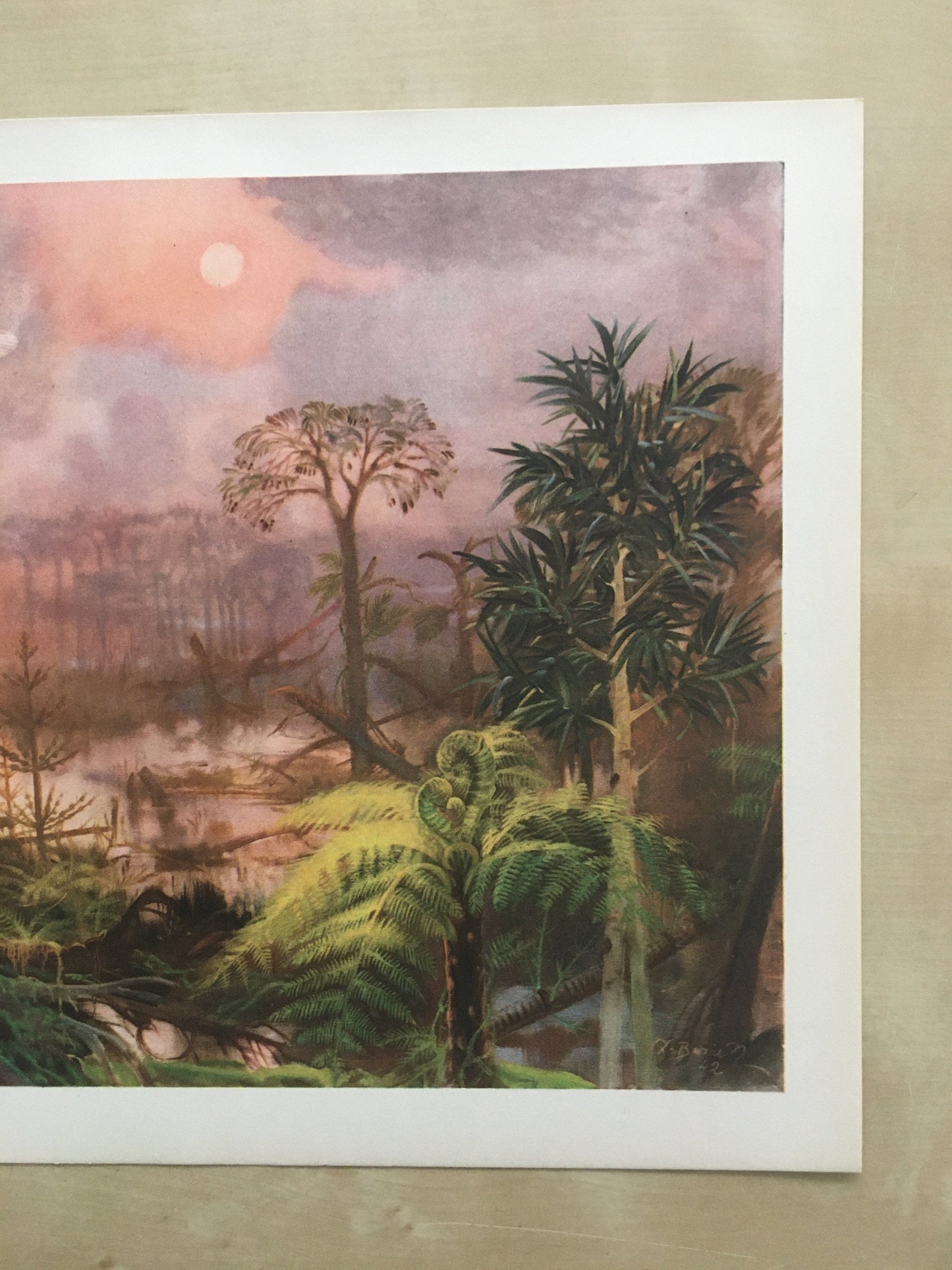 1960 MEGANEURA Print - Prehistoric Animals Print - Paleoart - Paleontology Print - Insect Print - 63 Years Old - 13.5 x 9.75 Inches