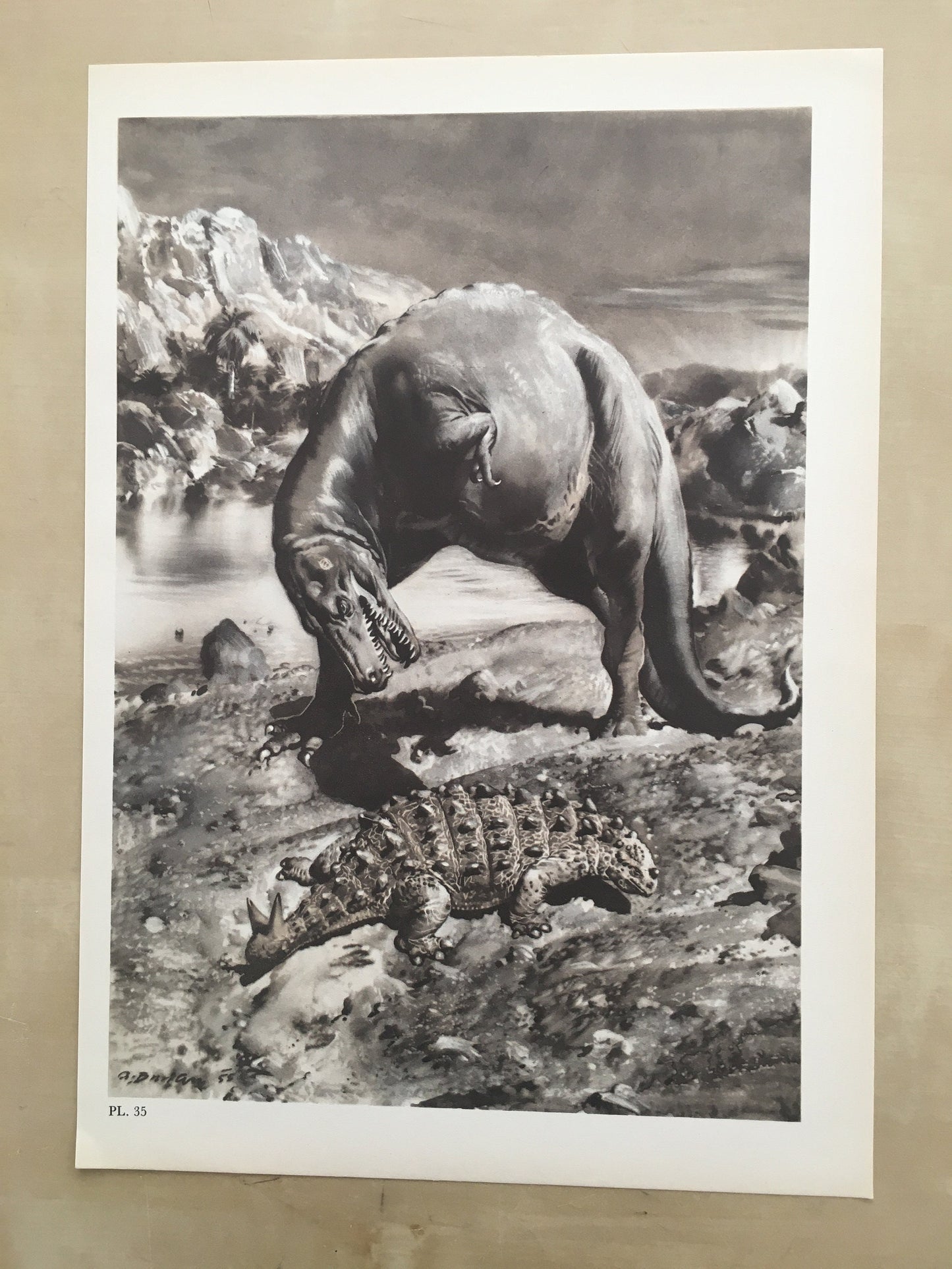 1960 GORGOSAURUS DINOSAUR Print - Prehistoric Animals Print - Paleoart - Dinosaur Decoration - 63 Years Old - 13.5 x 9.75 Inches