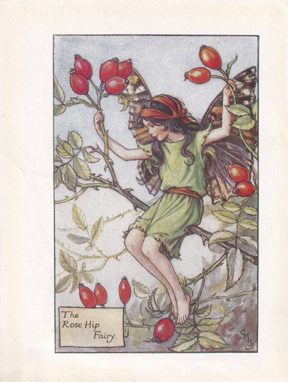 c. 1930 FLOWER FAIRY Print - The Rose Hip Fairy - Flower Fairy Wall Art - Flower Fairy Art - 93 Years Old - 5.5 x 4 Inches