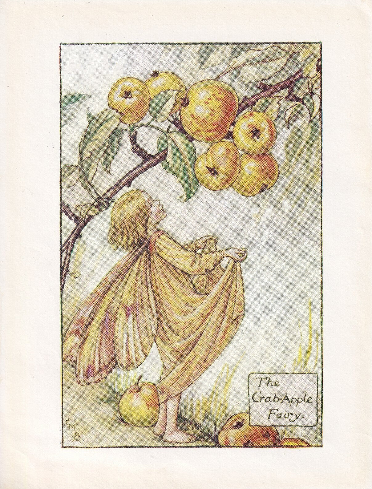 c. 1930 FLOWER FAIRY Print - The Crab-Apple Fairy - Flower Fairy Wall Art - Flower Fairy Art - 93 Years Old - 5.5 x 4 Inches