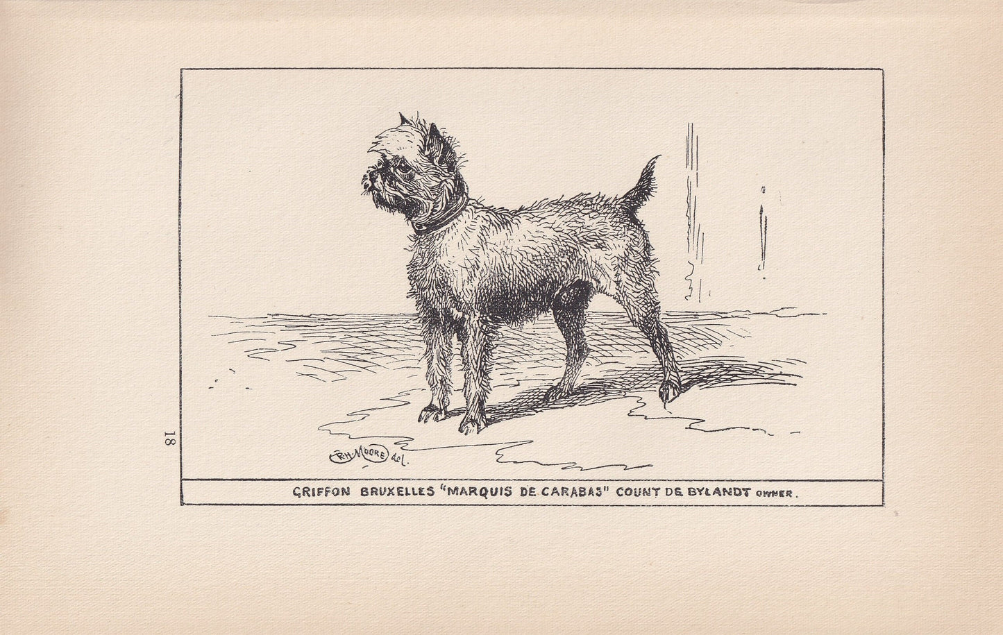 1900 BRUSSELS GRIFFON DOG Print - Original Antique Dog Print - R. H. Moore - Dog Wall Art - Dog Lover - Dog Gift - 8.6 x 5.6