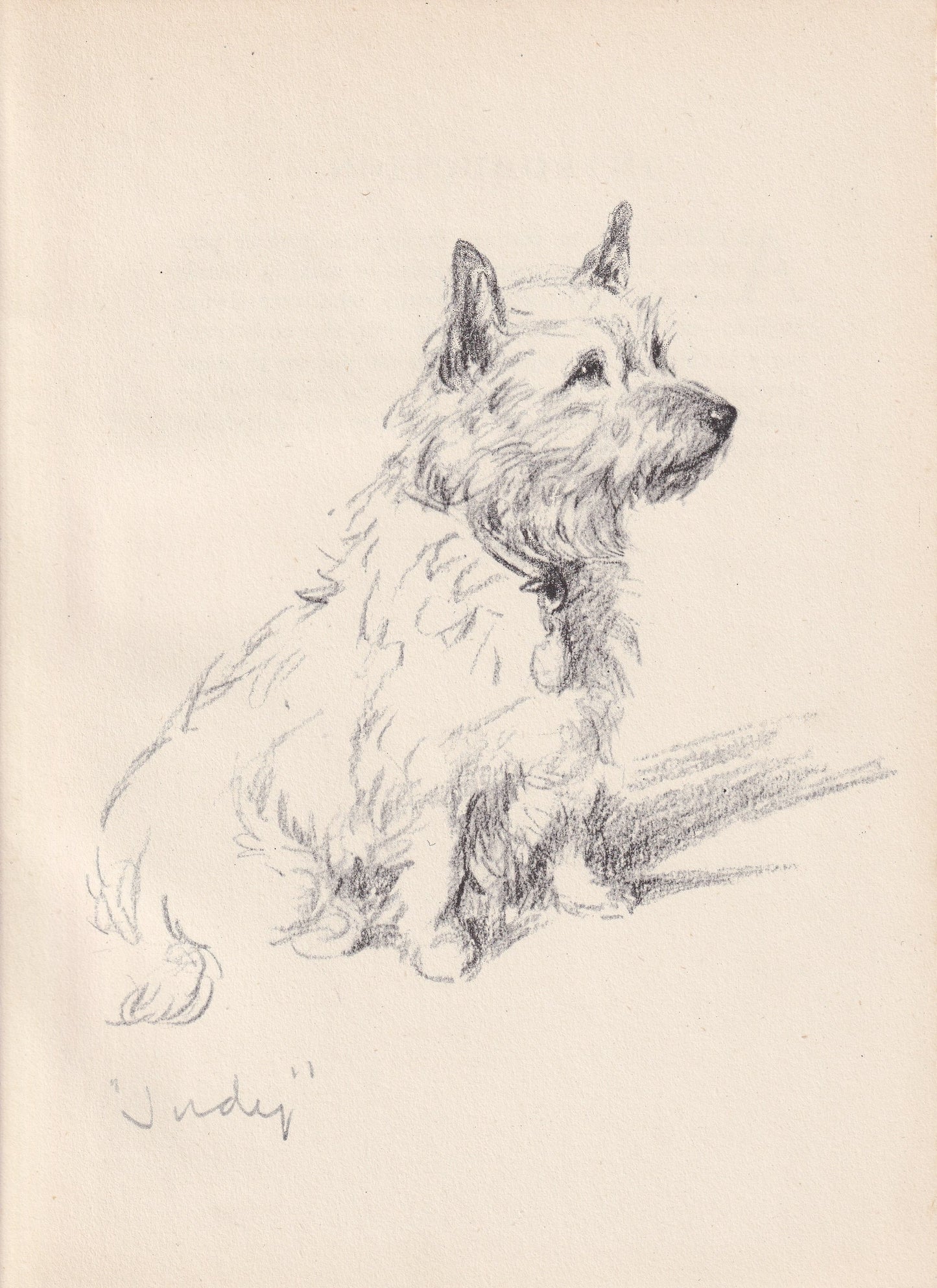 1946 CAIRN TERRIER DOG Print - Lucy Dawson - Cairn Terrier Art - Original Antique Dog Print - Dog Wall Art - Dog Gift - 7 x 9.5 Inches