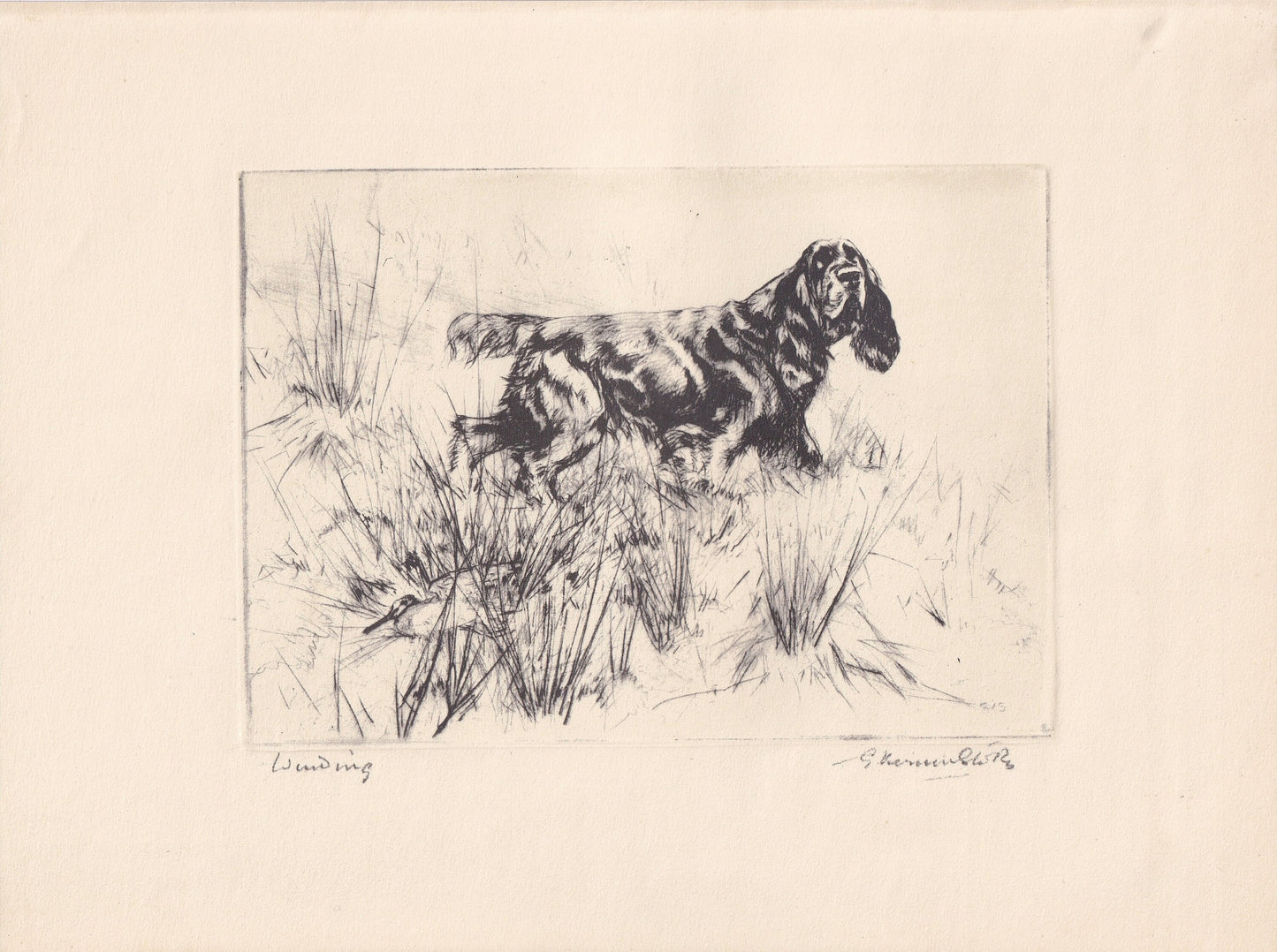 1930 COCKER SPANIEL DOG Print - Original Antique Dog Print - Vernon Stokes - Dog Wall Art - Dog Gift - 11 x 8.25 Inches