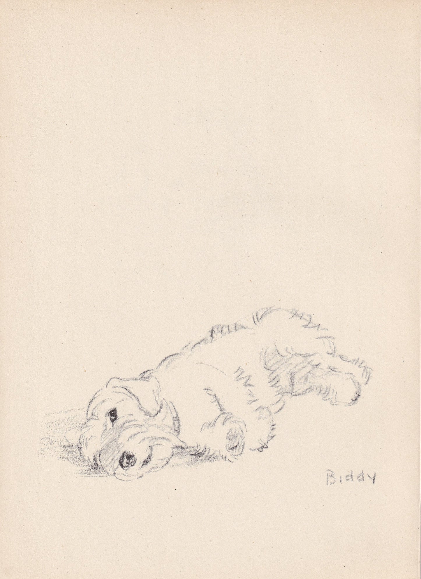 1946 SEALYHAM TERRIER DOG Print - Lucy Dawson - Sealyham Terrier Art - Original Antique Dog Print - Dog Wall Art - Dog Gift - 7 x 9.5 Inches