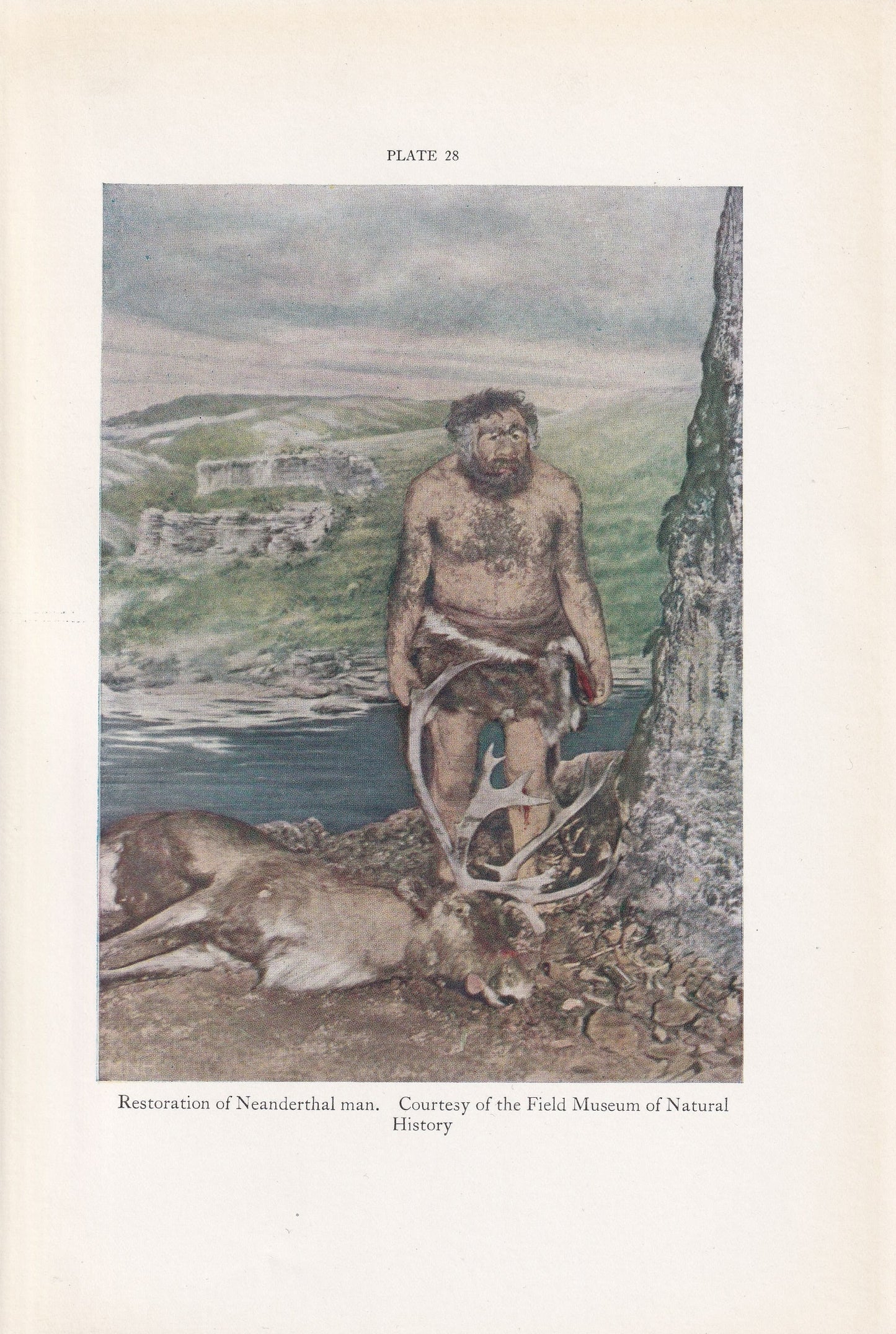 1934 NEANDERTHAL MAN Print - Caveman Print - Original Vintage Print - Paleoart - Caveman - Human History - 89 Years Old - 9.1