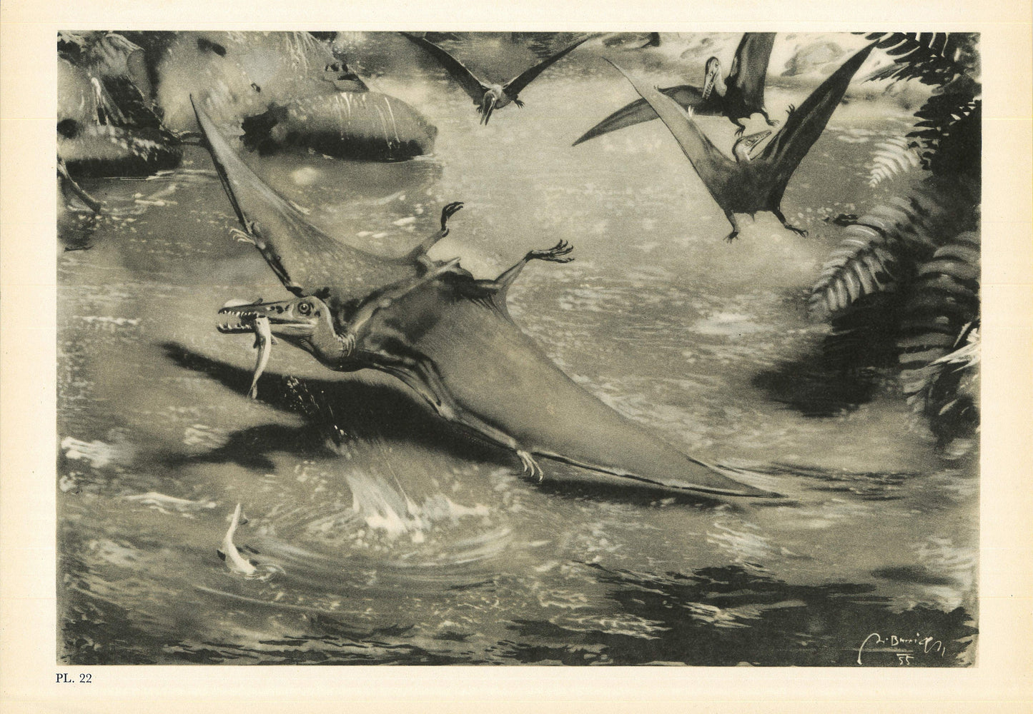 1960 PTERODACTYL Print - Prehistoric Animals Print - Paleoart - Dinosaur Wall Art - Dinosaur Print - 63 Years Old - 13.5 x 9.75 Inches