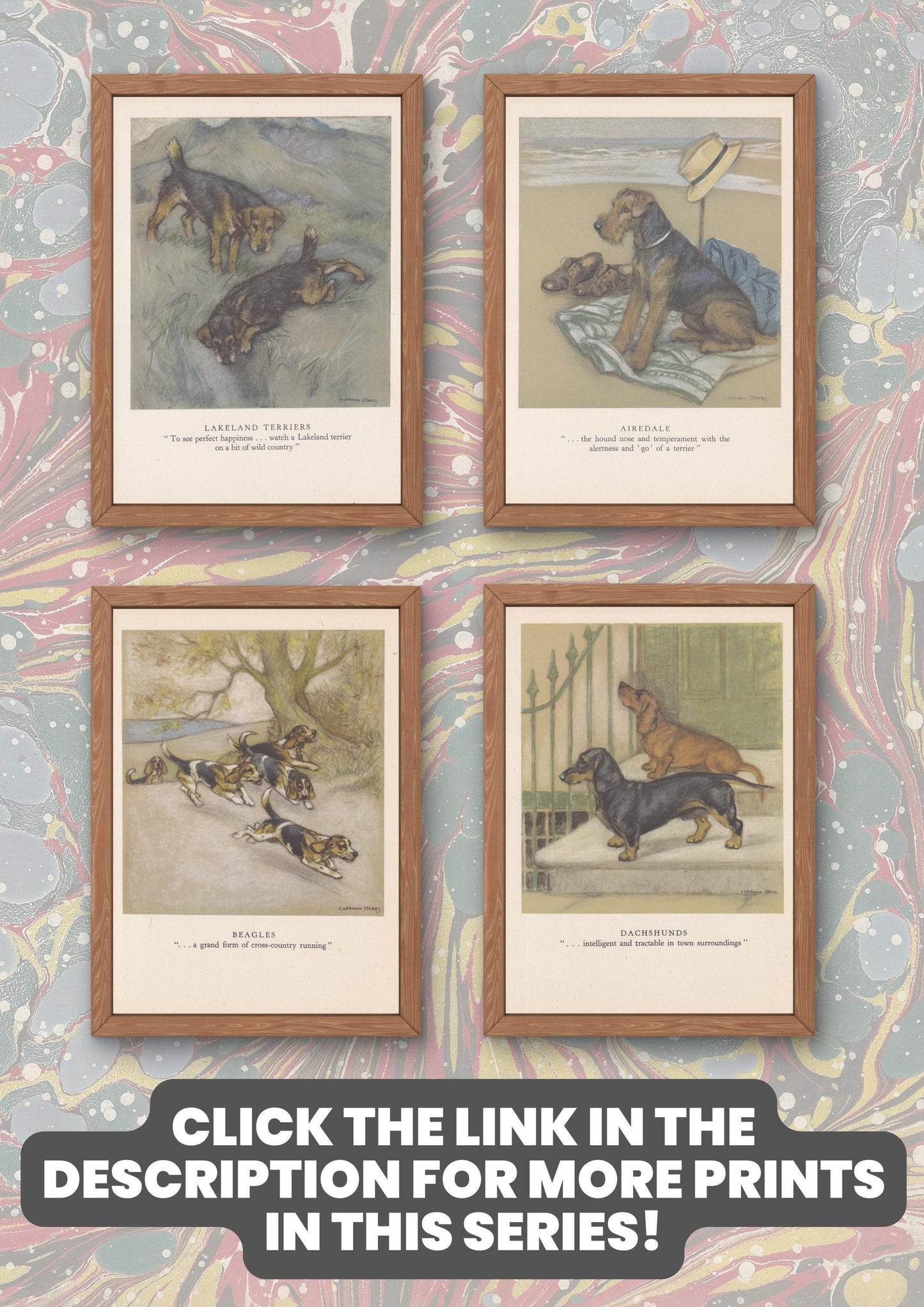 1947 SPANIEL DOG Print - Original Antique Dog Print - Vernon Stokes - Dog Wall Art - Dog Gift - 9.5 x 7.15 Inches