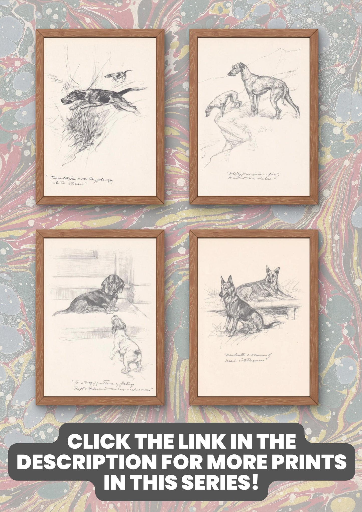 1936 FOXHOUND DOG Print - Original Antique Dog Print - Vernon Stokes - Dog Wall Art - Dog Gift - 11 x 8.4 Inches