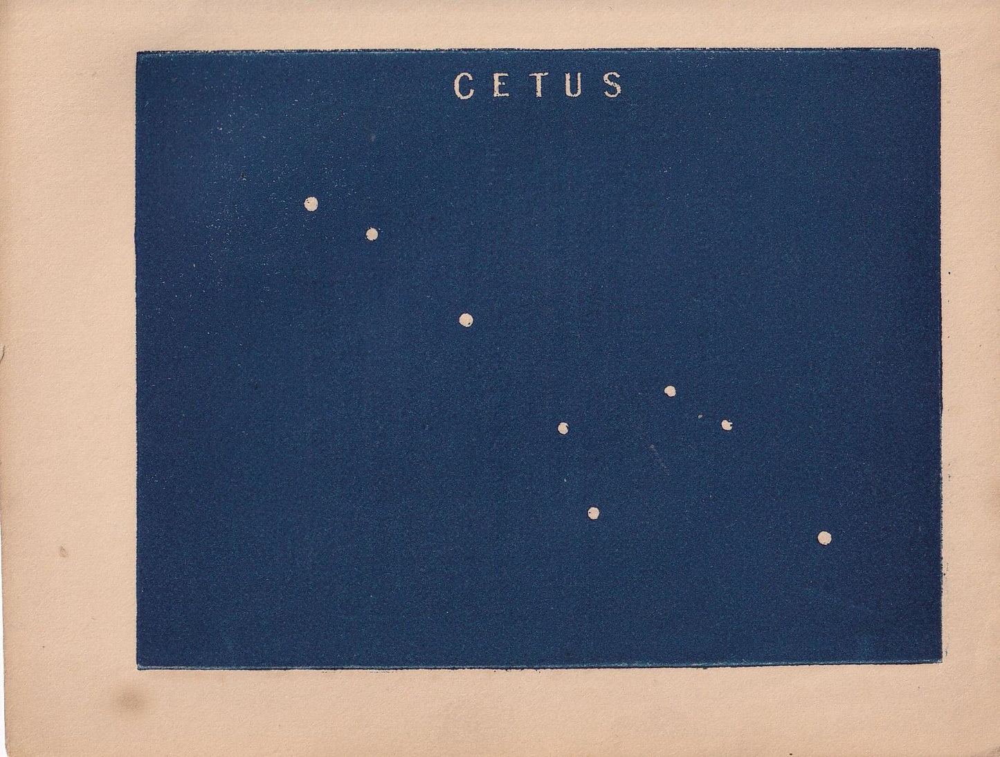1900 STAR MAP Print - CETUS - Constellations Wall Art - Antique Astronomy Decor - Vintage - 4.5 x 5.5 Inches