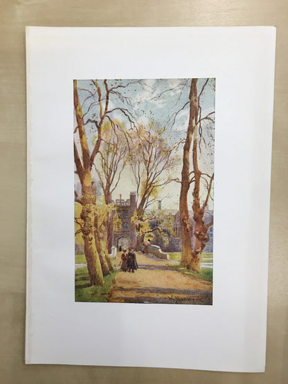1907 CAMBRIDGE - TRINITY COLLEGE Bridge & Avenue - William Mathison Painting - Cambridge University - Cambridge Painting - 116 Years Old