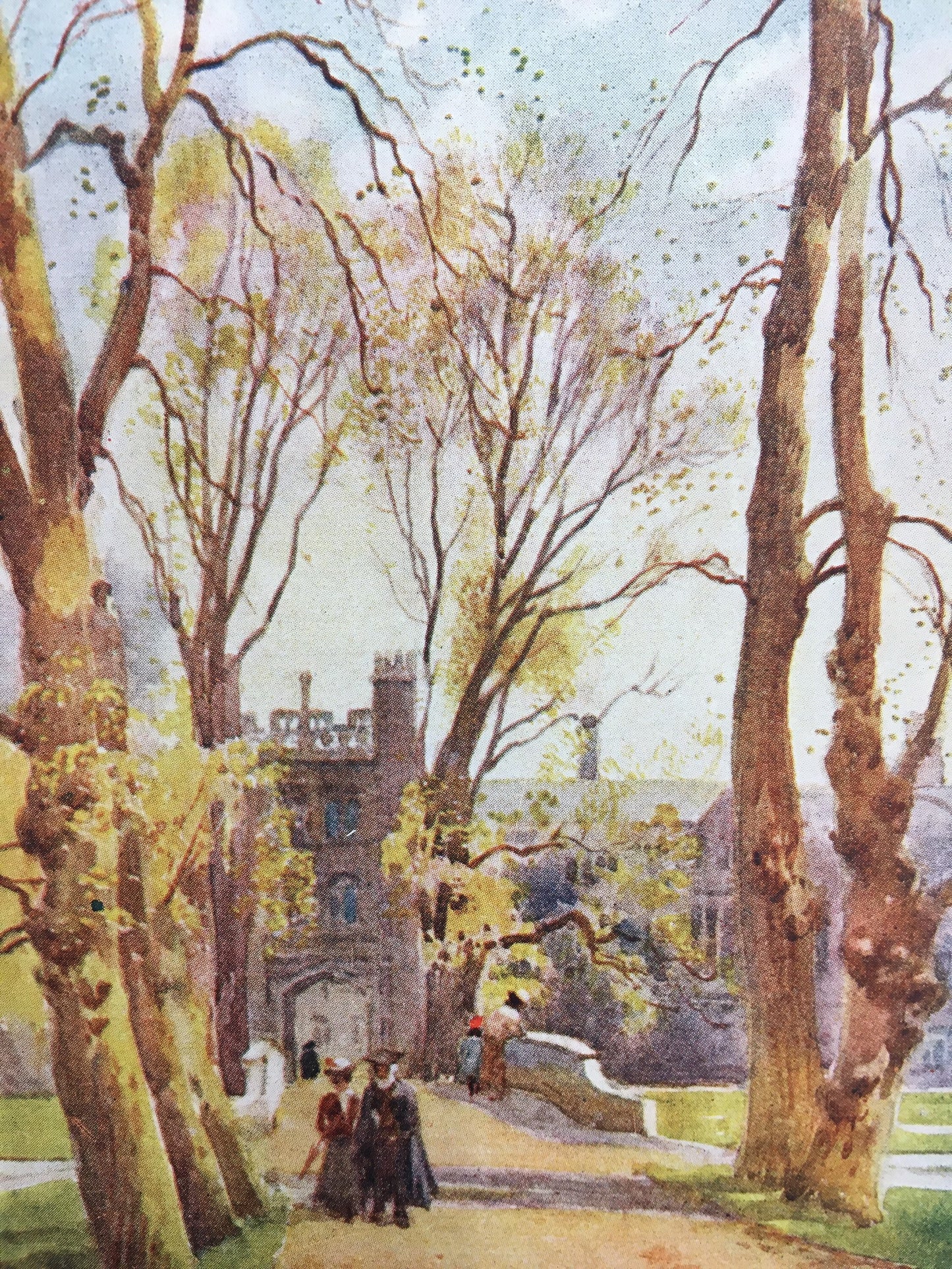 1907 CAMBRIDGE - TRINITY COLLEGE Bridge & Avenue - William Mathison Painting - Cambridge University - Cambridge Painting - 116 Years Old