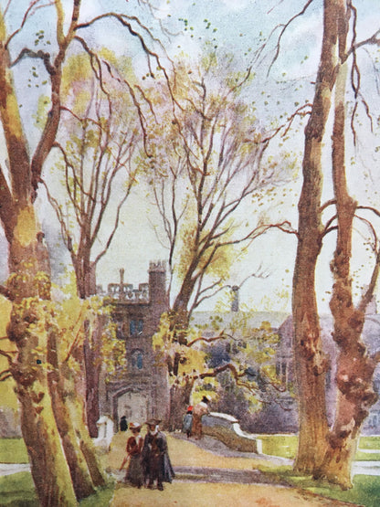 1907 CAMBRIDGE - TRINITY COLLEGE Bridge & Avenue - William Mathison Painting - Cambridge University - Cambridge Painting - 116 Years Old