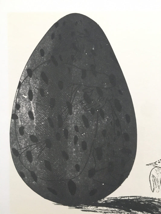 A vintage print from 1978 of "The Boy Hidden in the Egg", by the British artist, David Hockney.