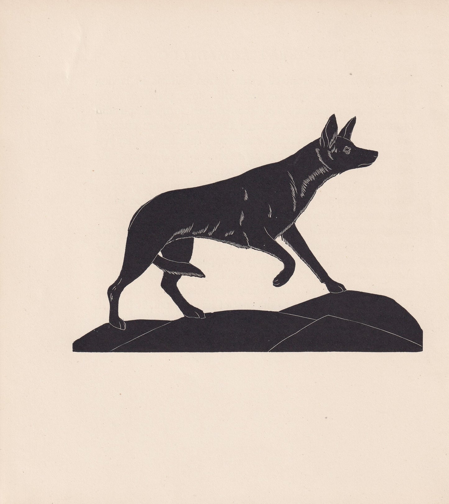 1929 JACKAL Print Wood Engraving - Jackal Wall Art - Zoology Print - Wildlife - Antique Animal Print - 94 Years Old - 8 x 7.2