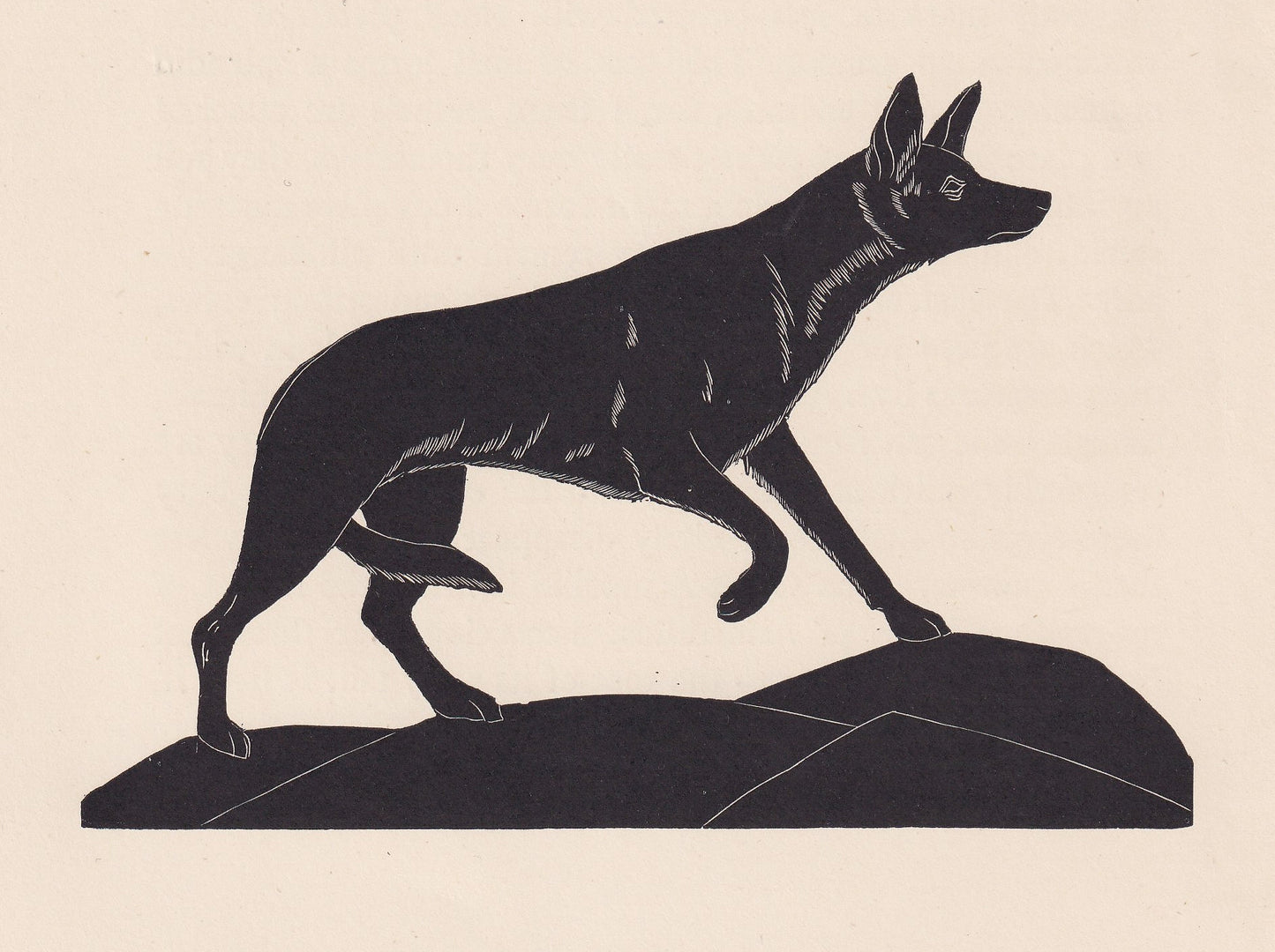 1929 JACKAL Print Wood Engraving - Jackal Wall Art - Zoology Print - Wildlife - Antique Animal Print - 94 Years Old - 8 x 7.2