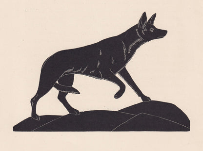 1929 JACKAL Print Wood Engraving - Jackal Wall Art - Zoology Print - Wildlife - Antique Animal Print - 94 Years Old - 8 x 7.2