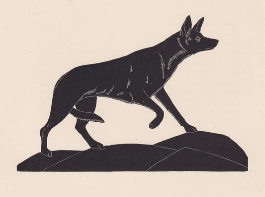 1929 JACKAL Print Wood Engraving - Jackal Wall Art - Zoology Print - Wildlife - Antique Animal Print - 94 Years Old - 8 x 7.2