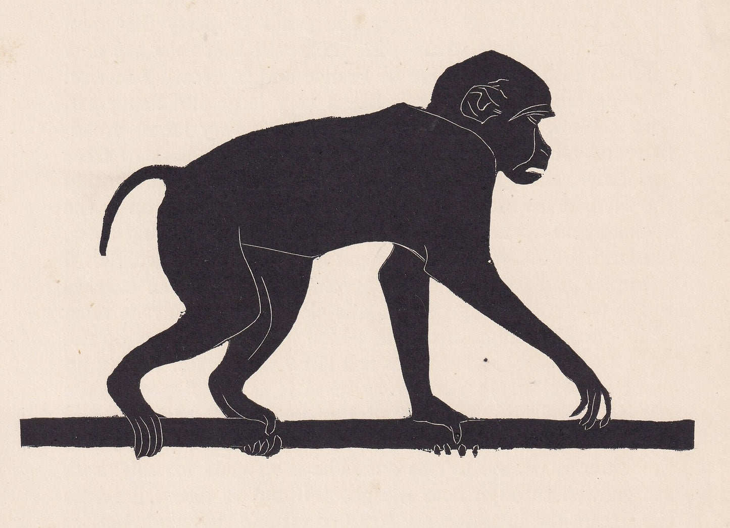 1929 MONKEY Print Wood Engraving - Monkey Wall Art - Zoology Print - Wildlife - Antique Animal Print - 94 Years Old - 8 x 7.2