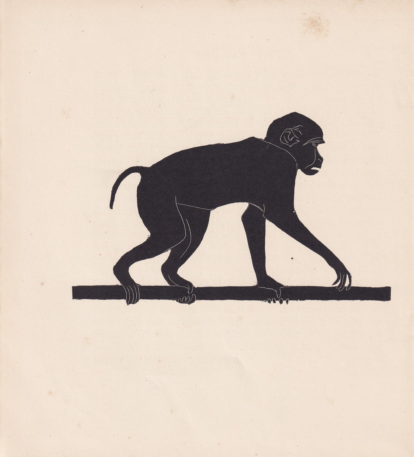 1929 MONKEY Print Wood Engraving - Monkey Wall Art - Zoology Print - Wildlife - Antique Animal Print - 94 Years Old - 8 x 7.2