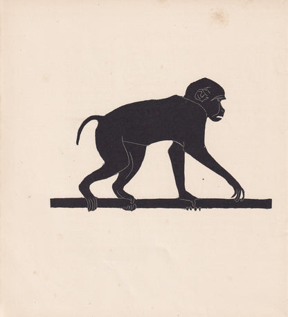 1929 MONKEY Print Wood Engraving - Monkey Wall Art - Zoology Print - Wildlife - Antique Animal Print - 94 Years Old - 8 x 7.2
