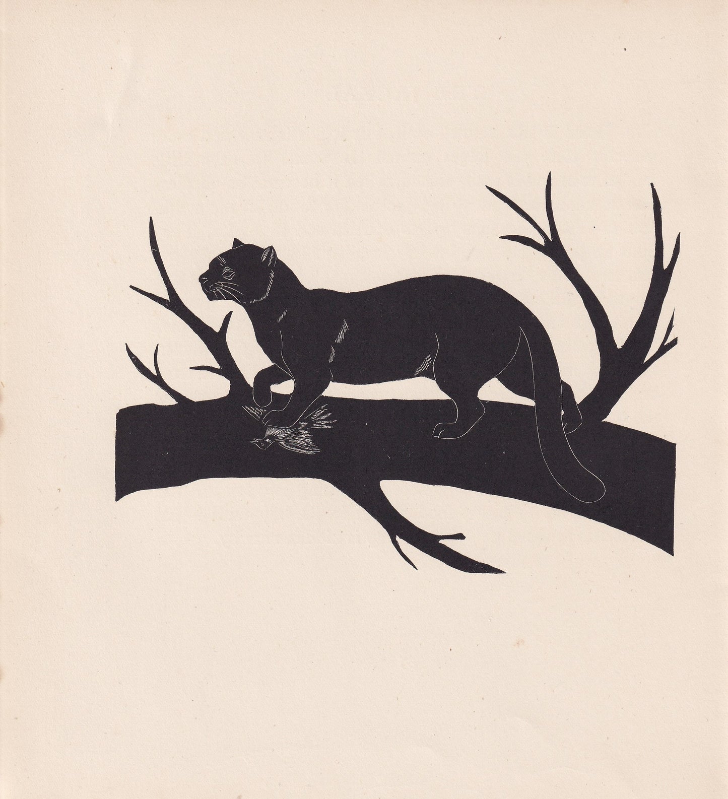 1929 EYRA (JAGUARUNDI) Print Wood Engraving - Eyra Wall Art - Zoology Print - Wildlife - Animal Print - 94 Years Old - 8 x 7.25 Inches