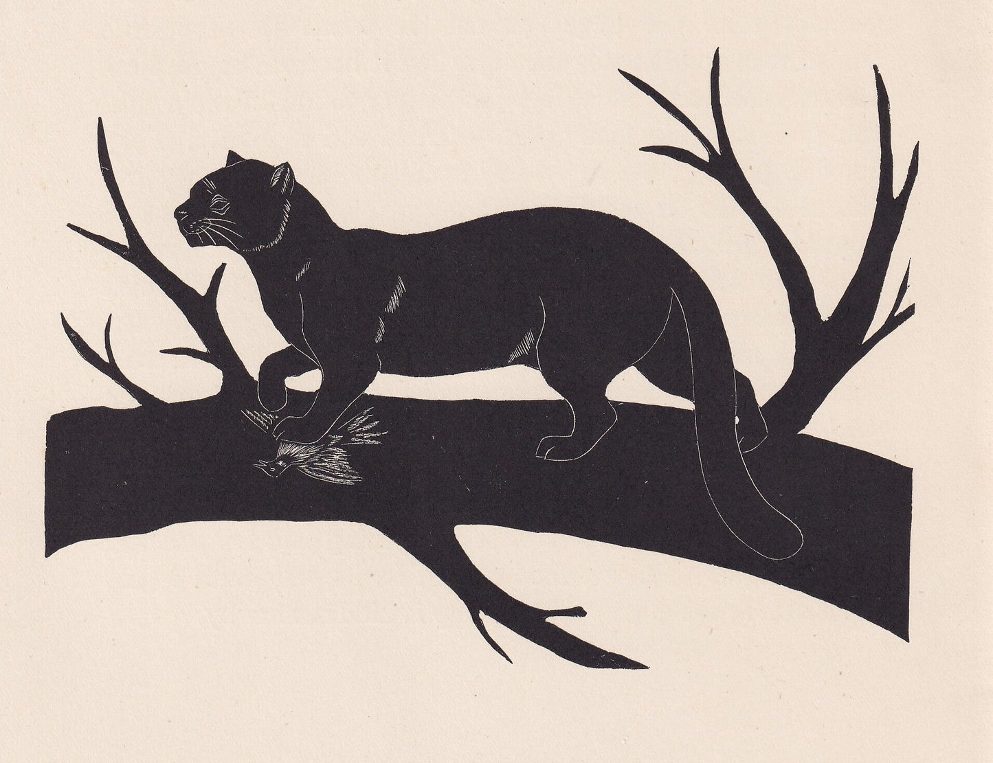 1929 EYRA (JAGUARUNDI) Print Wood Engraving - Eyra Wall Art - Zoology Print - Wildlife - Animal Print - 94 Years Old - 8 x 7.