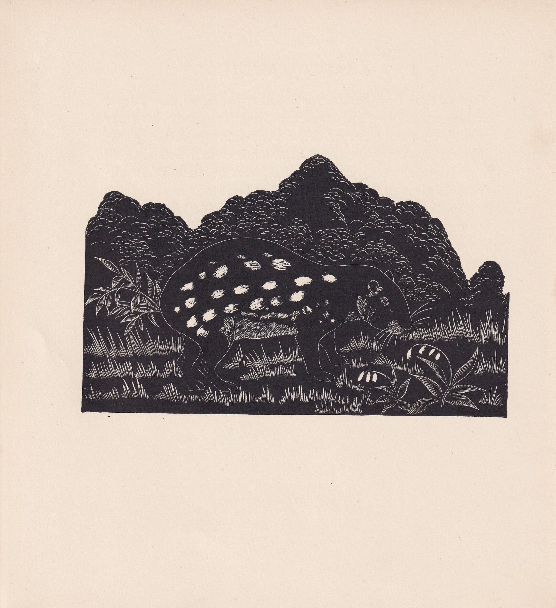 1929 PACA Print Wood Engraving - Paca Wall Art - Zoology Print - Wildlife - Antique Animal Print - 94 Years Old - 8 x 7.25 In