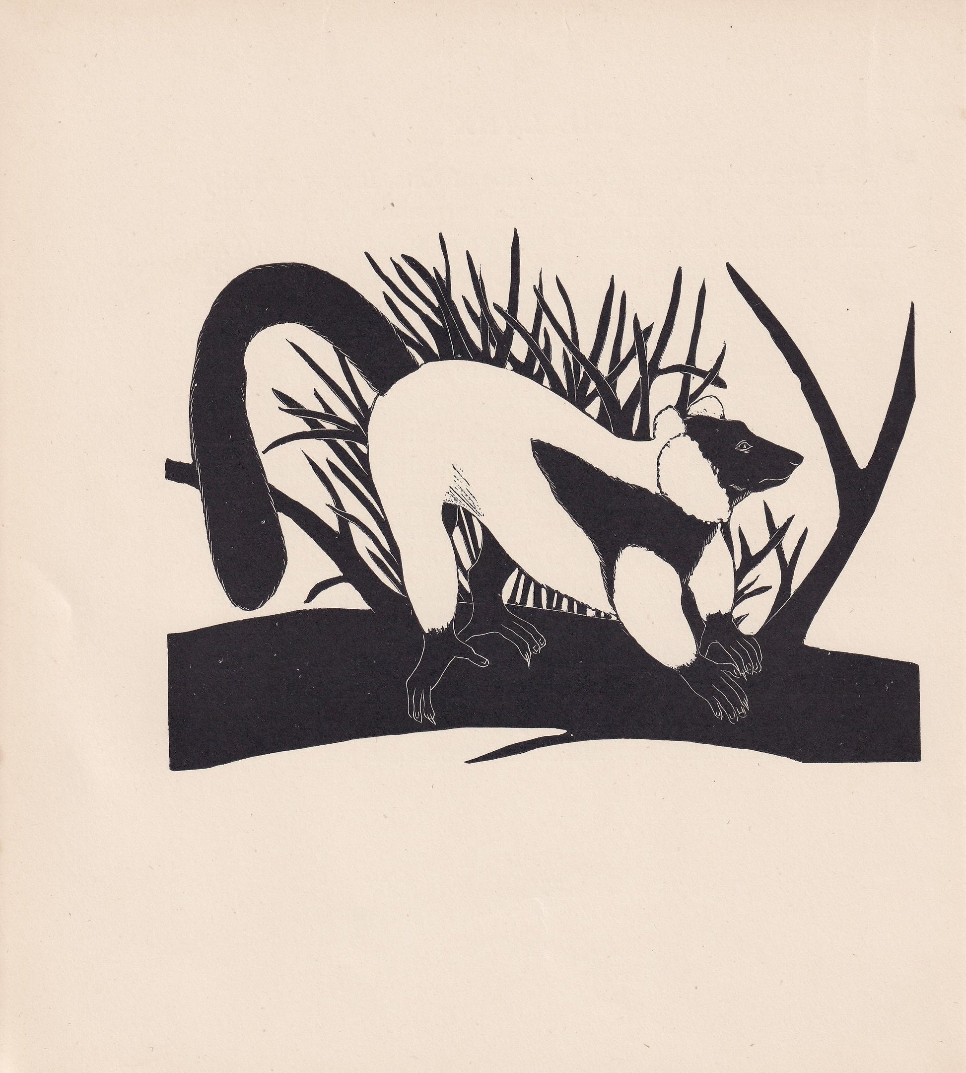 1929 RUFFED LEMUR Print Wood Engraving - Lemur Wall Art - Zoology Print - Wildlife - Antique Animal Print - 94 Years Old - 8 