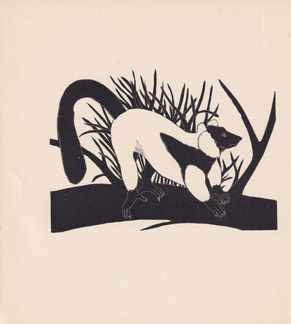 1929 RUFFED LEMUR Print Wood Engraving - Lemur Wall Art - Zoology Print - Wildlife - Antique Animal Print - 94 Years Old - 8 