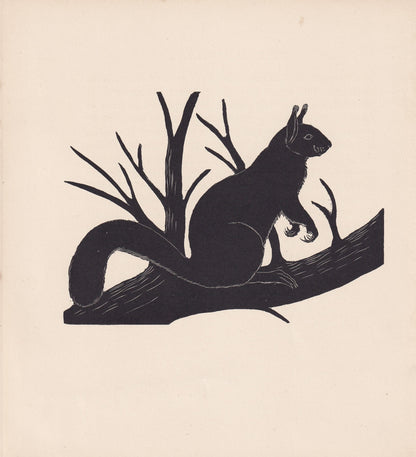 1929 RED SQUIRREL Print Wood Engraving - Squirrel Wall Art - Zoology Print - Antique Animal Print - 94 Years Old - 8 x 7.25 I