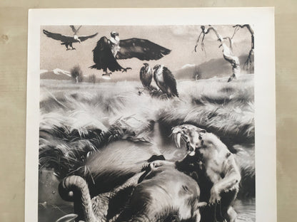 1960 SMILODON vs MAMMOTH Print - Prehistoric Animals Print - Paleoart - Sabre-Toothed Tiger - 63 Years Old - 13.5 x 9.75 Inches