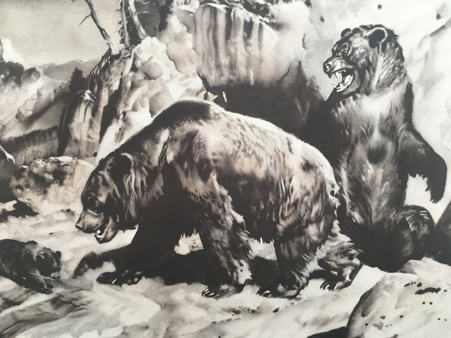 1960 CAVE BEAR & NEANDERTHALS Print - Prehistoric Animals Print - Paleoart - Cave Man Art - 63 Years Old - 13.5 x 9.75 Inches