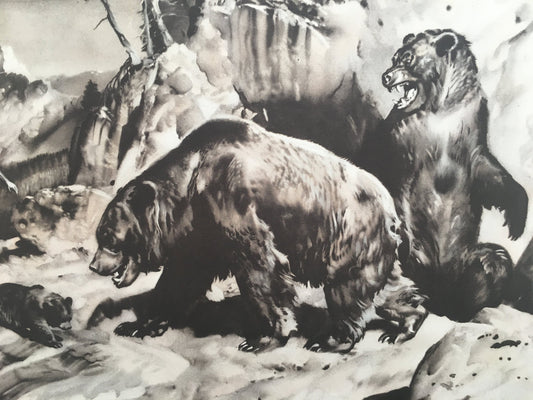 1960 CAVE BEAR & NEANDERTHALS Print - Prehistoric Animals Print - Paleoart - Cave Man Art - 63 Years Old - 13.5 x 9.75 Inches