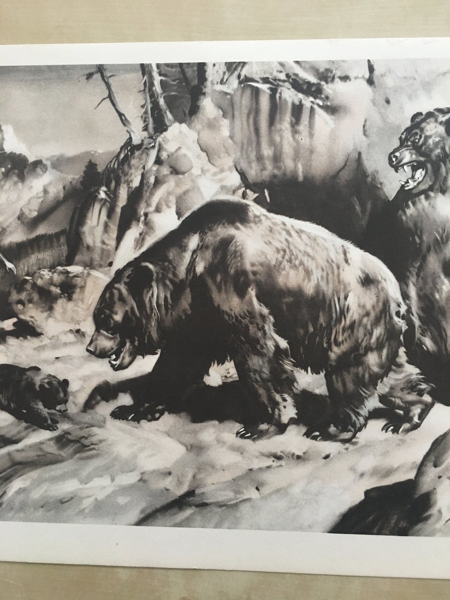 1960 CAVE BEAR & NEANDERTHALS Print - Prehistoric Animals Print - Paleoart - Cave Man Art - 63 Years Old - 13.5 x 9.75 Inches