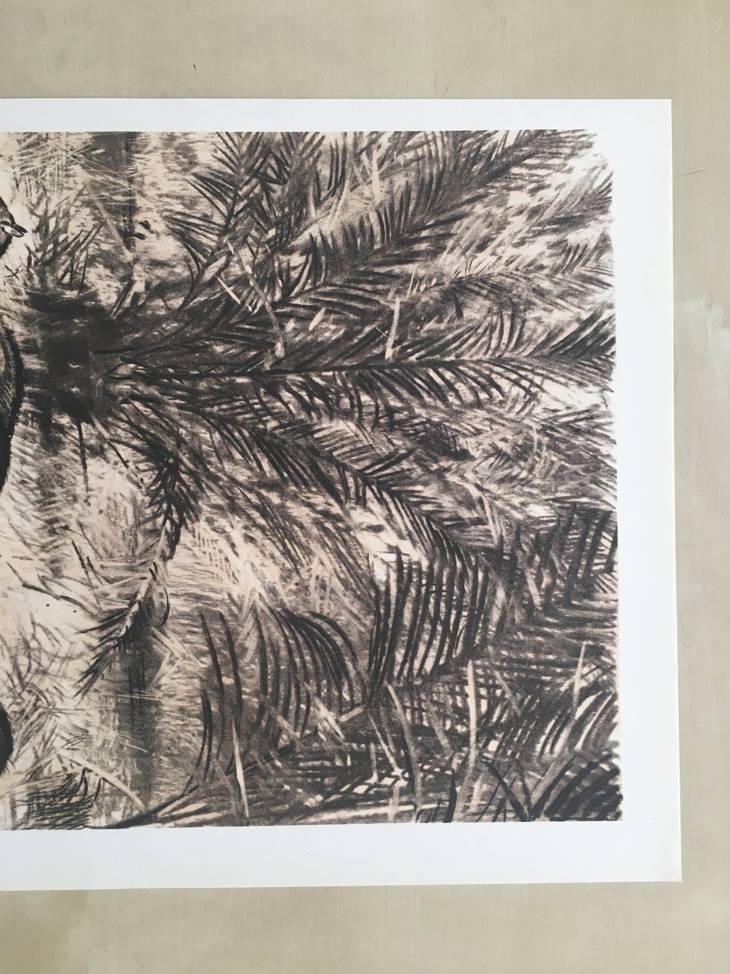 1960 EOHIPPUS Print - Prehistoric Animals Print - Paleoart - Eocene Horse - Eohippus Art - 63 Years Old - 13.5 x 9.75 Inches