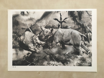 1960 ARSINOITHERIUM Print - Prehistoric Animals Print - Paleoart - Cave Man Art - 63 Years Old - 13.5 x 9.75 Inches