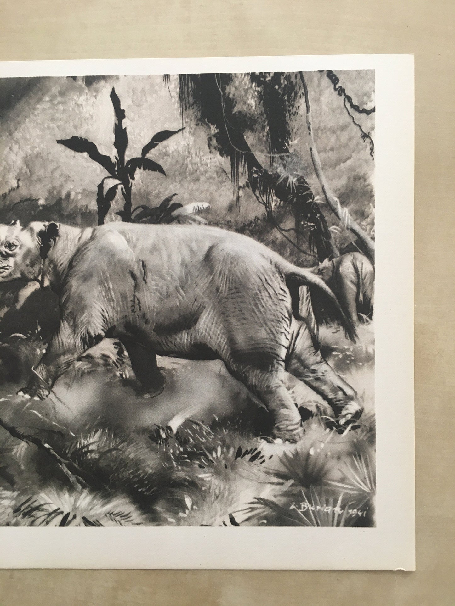 1960 ARSINOITHERIUM Print - Prehistoric Animals Print - Paleoart - Cave Man Art - 63 Years Old - 13.5 x 9.75 Inches