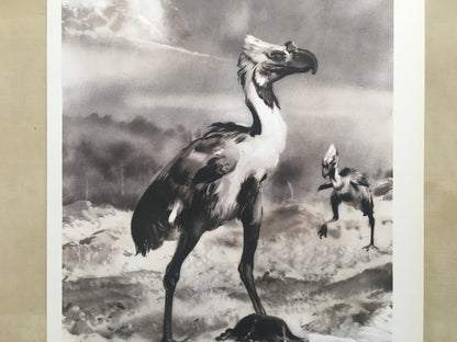 1960 PHORUSRHACOS Print - Prehistoric Animals Print - Paleoart - Paleontology Print - Extinct Bird Print - 63 Years Old - 13.5 x 9.75 Inches