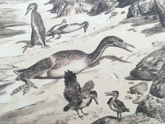 1960 HESPERORNIS Print - Prehistoric Animals Print - Paleoart - Dinosaur Decoration - 63 Years Old - 13.5 x 9.75 Inches