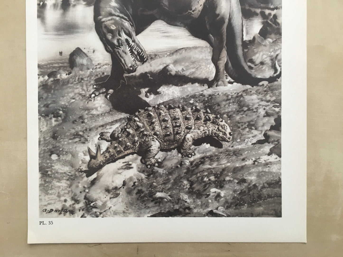 1960 GORGOSAURUS DINOSAUR Print - Prehistoric Animals Print - Paleoart - Dinosaur Decoration - 63 Years Old - 13.5 x 9.75 Inches