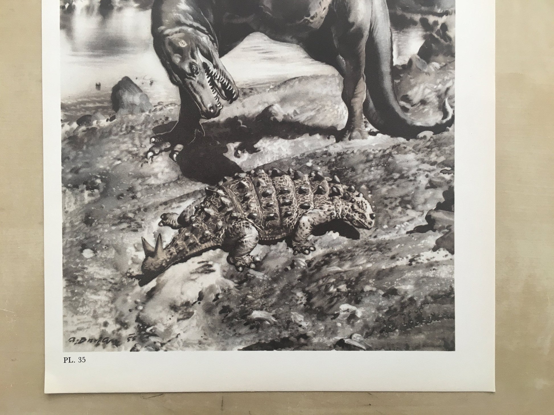 1960 GORGOSAURUS DINOSAUR Print - Prehistoric Animals Print - Paleoart - Dinosaur Decoration - 63 Years Old - 13.5 x 9.75 Inches