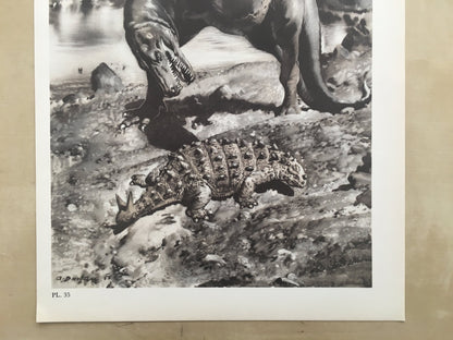 1960 GORGOSAURUS DINOSAUR Print - Prehistoric Animals Print - Paleoart - Dinosaur Decoration - 63 Years Old - 13.5 x 9.75 Inches