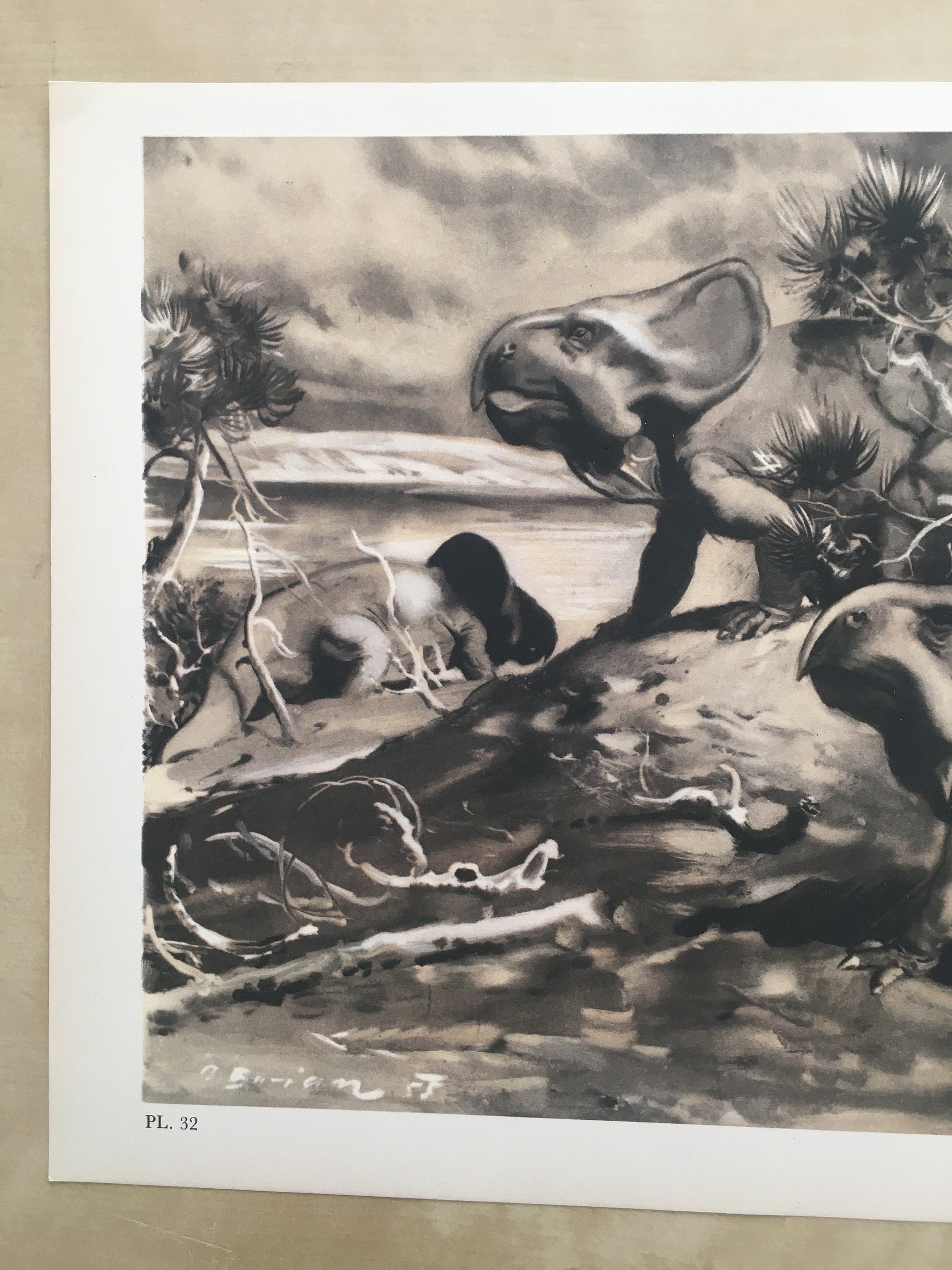 1960 PROTOCERATOPS DINOSAUR Print - Prehistoric Animals Print - Paleoart - Dinosaur Decoration - 63 Years Old - 13.5 x 9.75 Inches