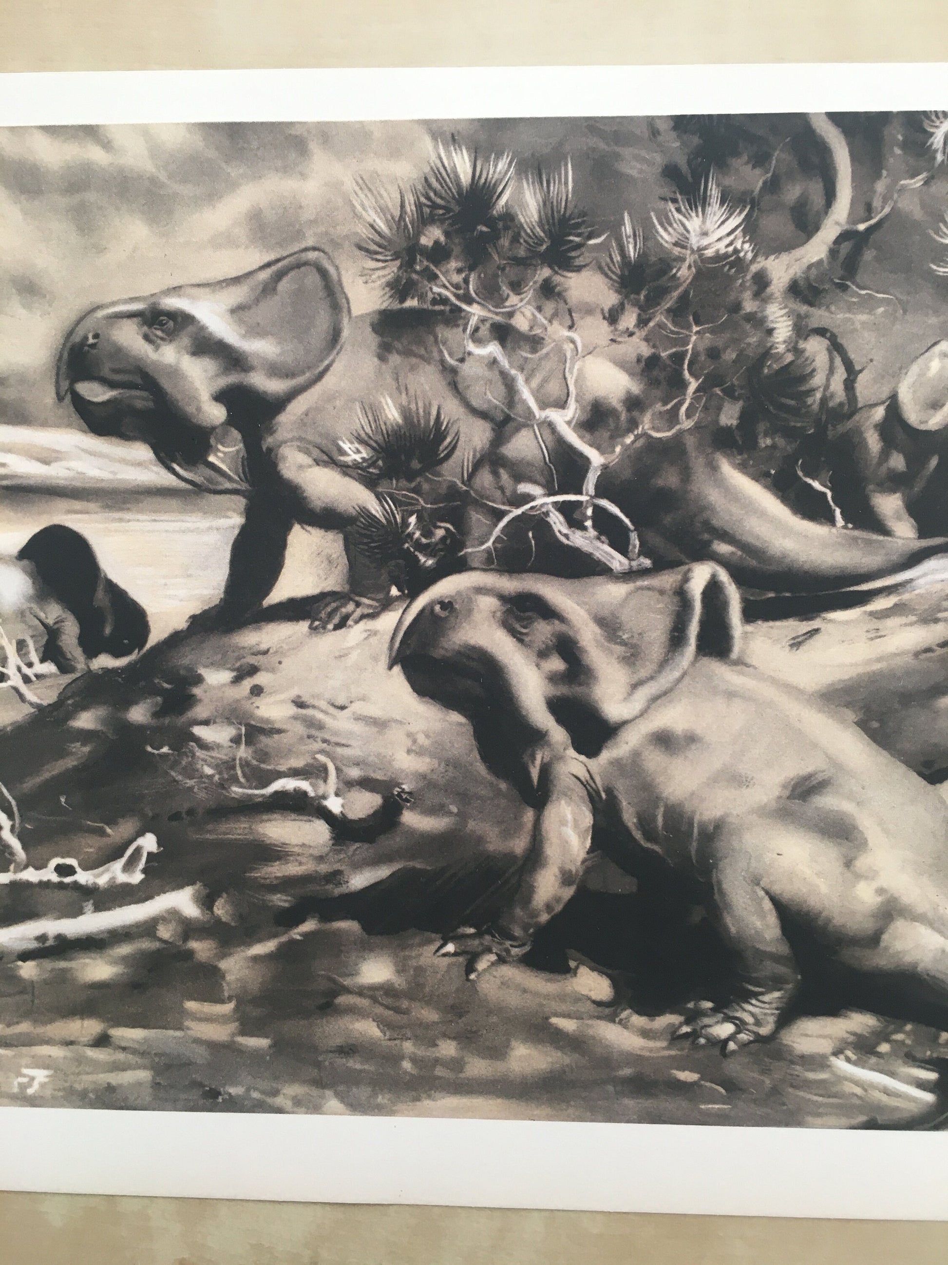 1960 PROTOCERATOPS DINOSAUR Print - Prehistoric Animals Print - Paleoart - Dinosaur Decoration - 63 Years Old - 13.5 x 9.75 Inches