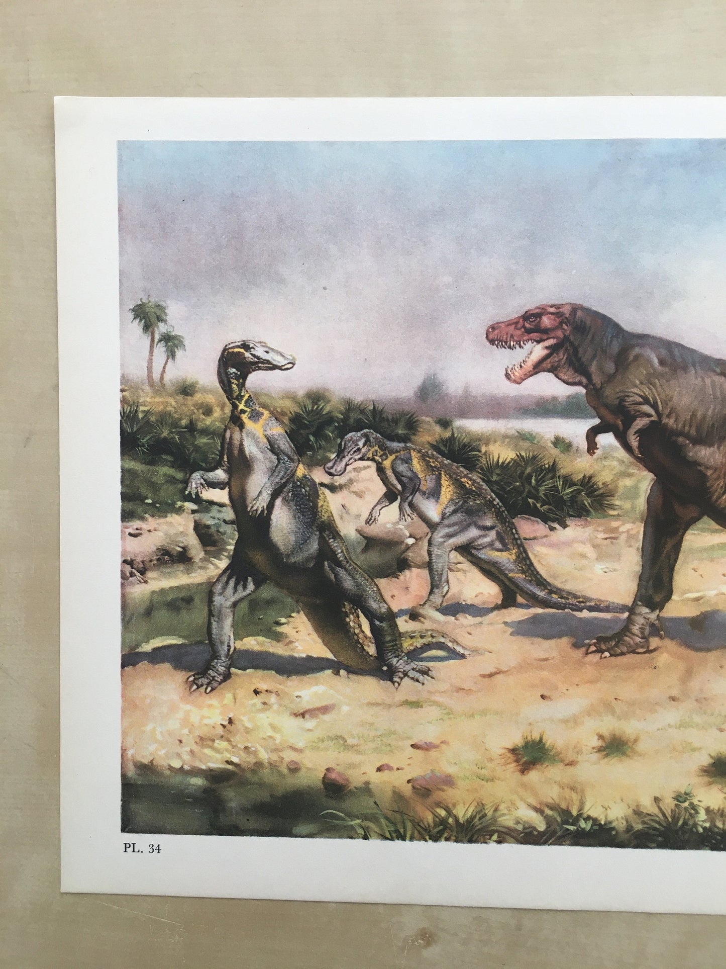 1960 TYRANNOSAURUS REX DINOSAUR Print - Prehistoric Animals Print - Paleoart - T Rex Print - 63 Years Old - 13.5 x 9.75 Inches