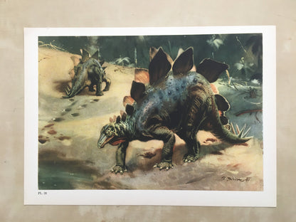1960 STEGOSAURUS DINOSAUR Print - Prehistoric Animals Print - Paleoart - Dinosaur Decoration - 63 Years Old - 13.5 x 9.75 Inches