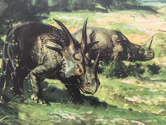 1960 STYRACOSAURUS DINOSAUR Print - Prehistoric Animals Print - Paleoart - Dinosaur Decoration - 63 Years Old - 13.5 x 9.75 Inches