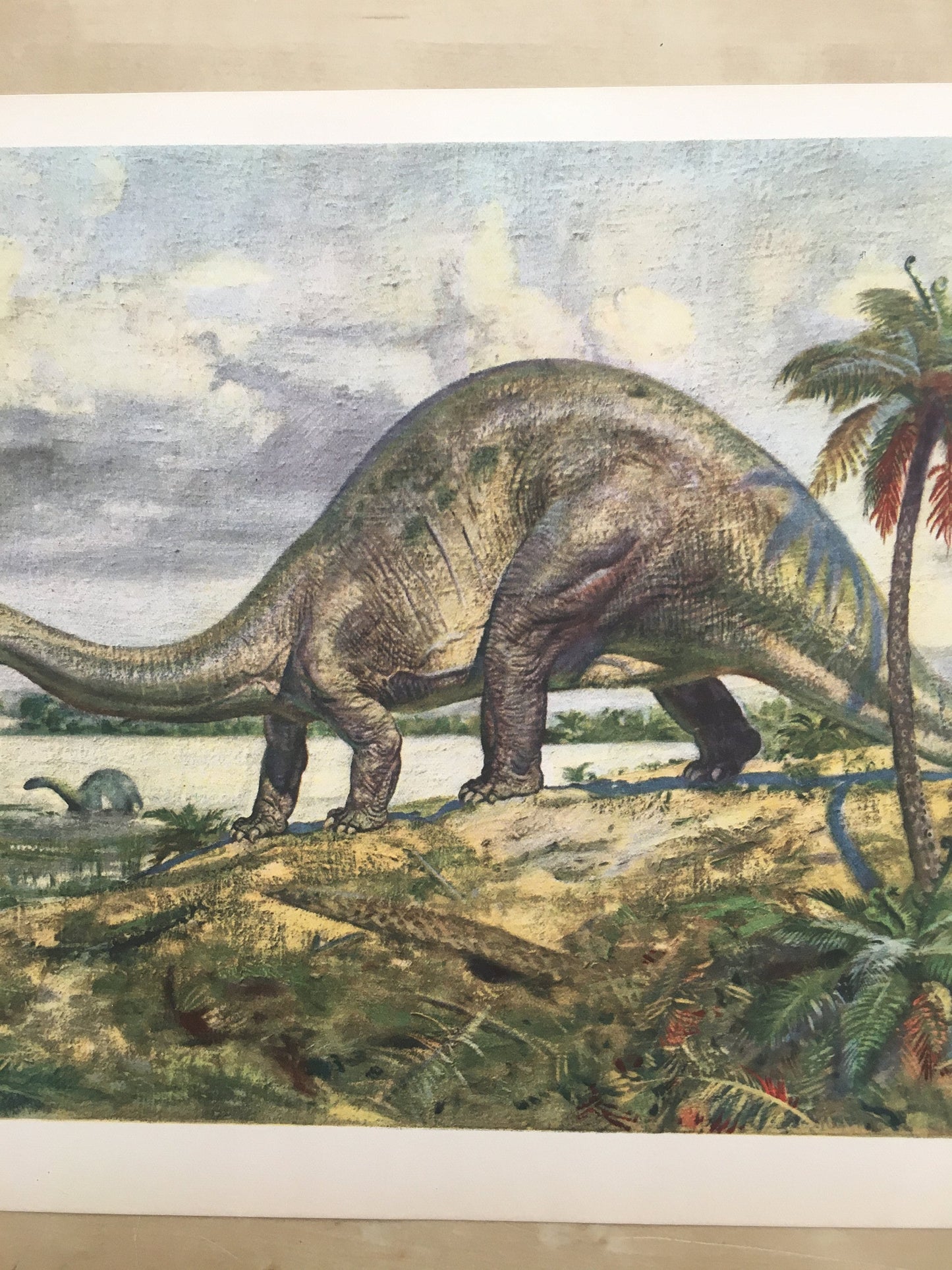 1960 BRONTOSAURUS DINOSAUR Print - Prehistoric Animals Print - Paleoart - Dinosaur Decoration - 63 Years Old - 13.5 x 9.75 Inches