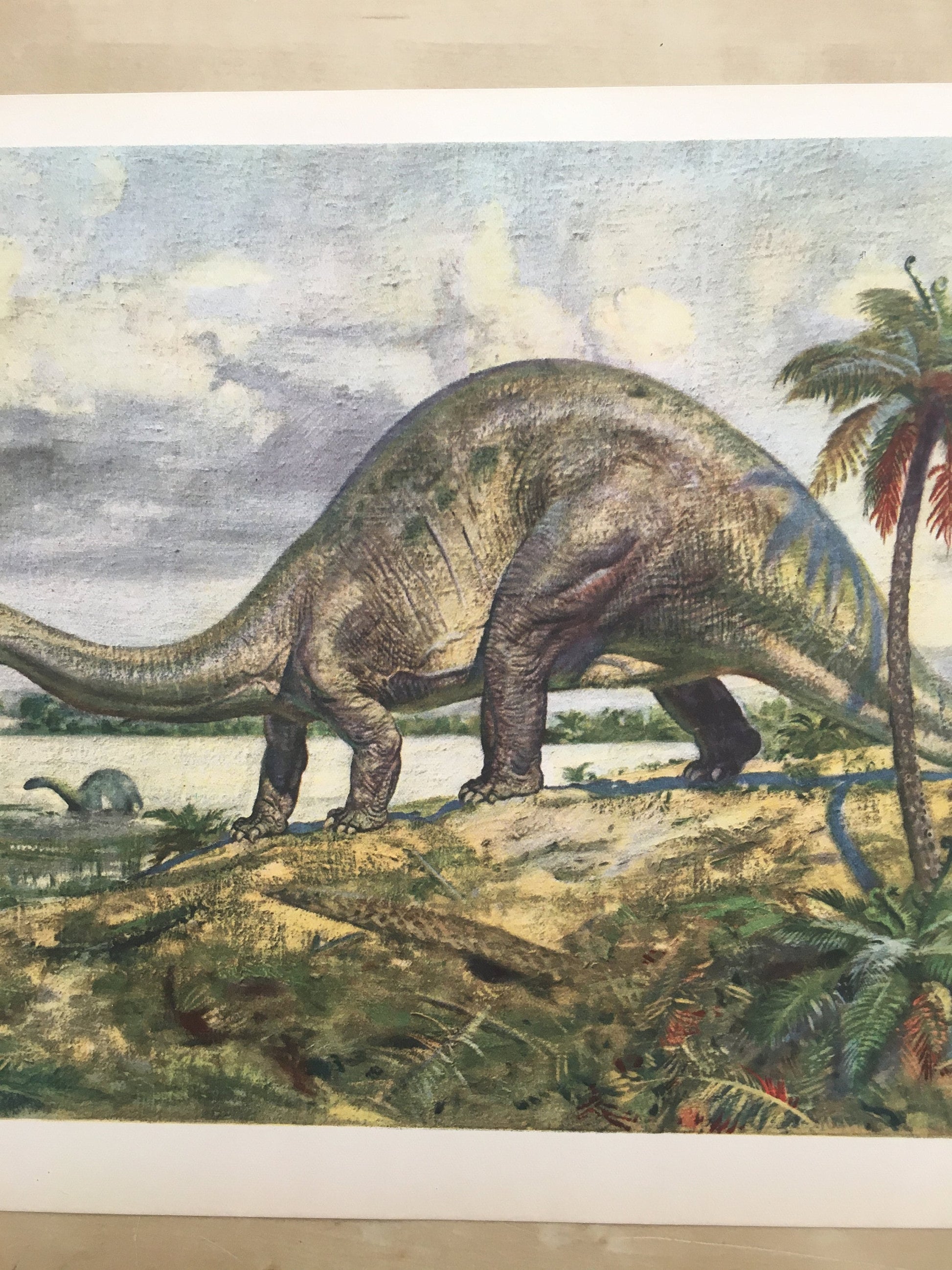 1960 BRONTOSAURUS DINOSAUR Print - Prehistoric Animals Print - Paleoart - Dinosaur Decoration - 63 Years Old - 13.5 x 9.75 Inches