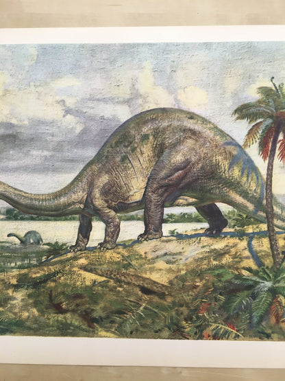 1960 BRONTOSAURUS DINOSAUR Print - Prehistoric Animals Print - Paleoart - Dinosaur Decoration - 63 Years Old - 13.5 x 9.75 Inches